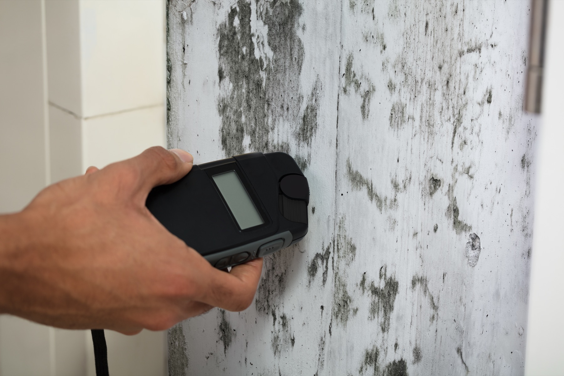 A hand holding a moisture meter against a mould-affected wall